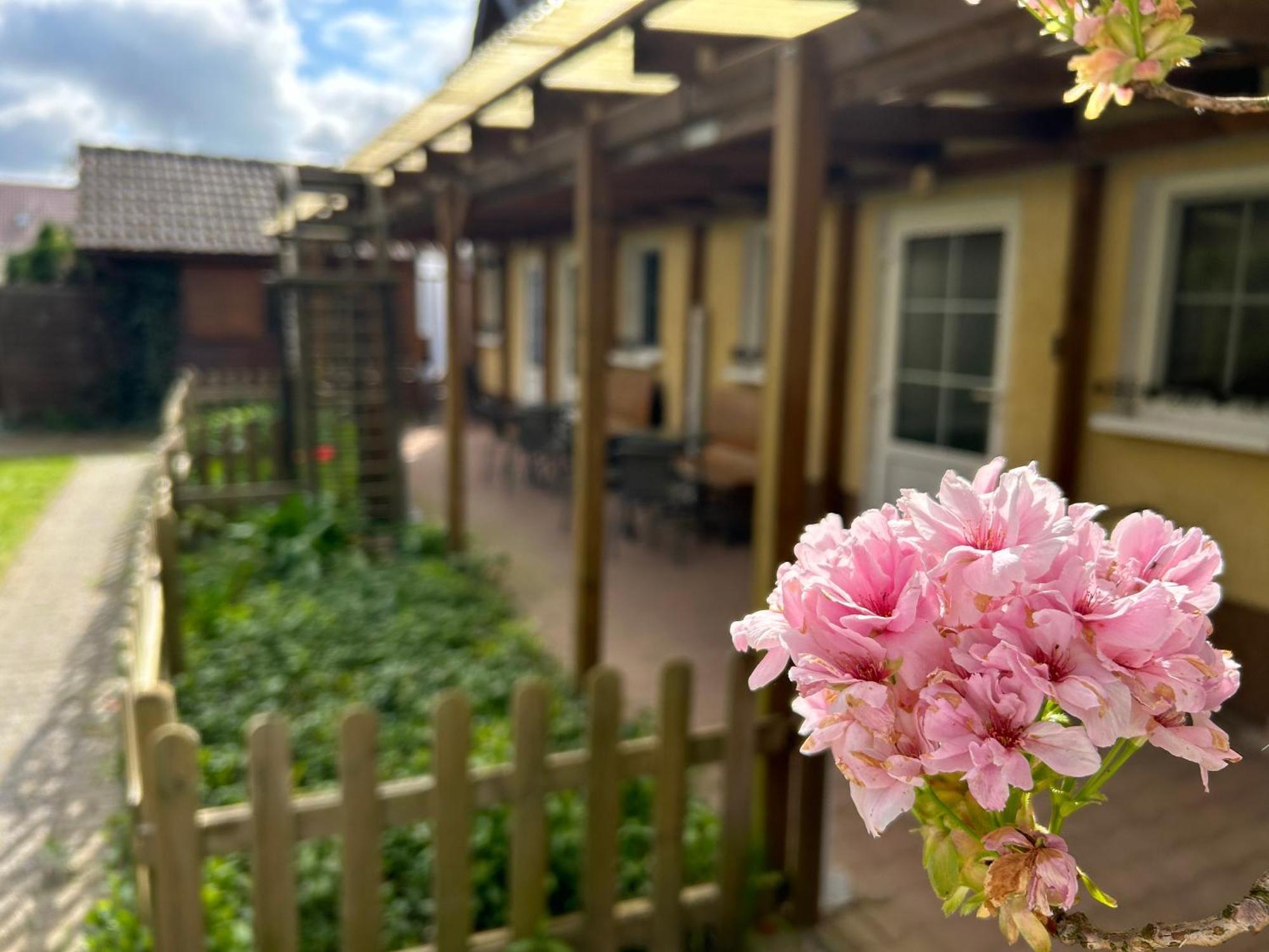 Gemuetliche Wohnung Landlust In See-Naehe Tauche Экстерьер фото